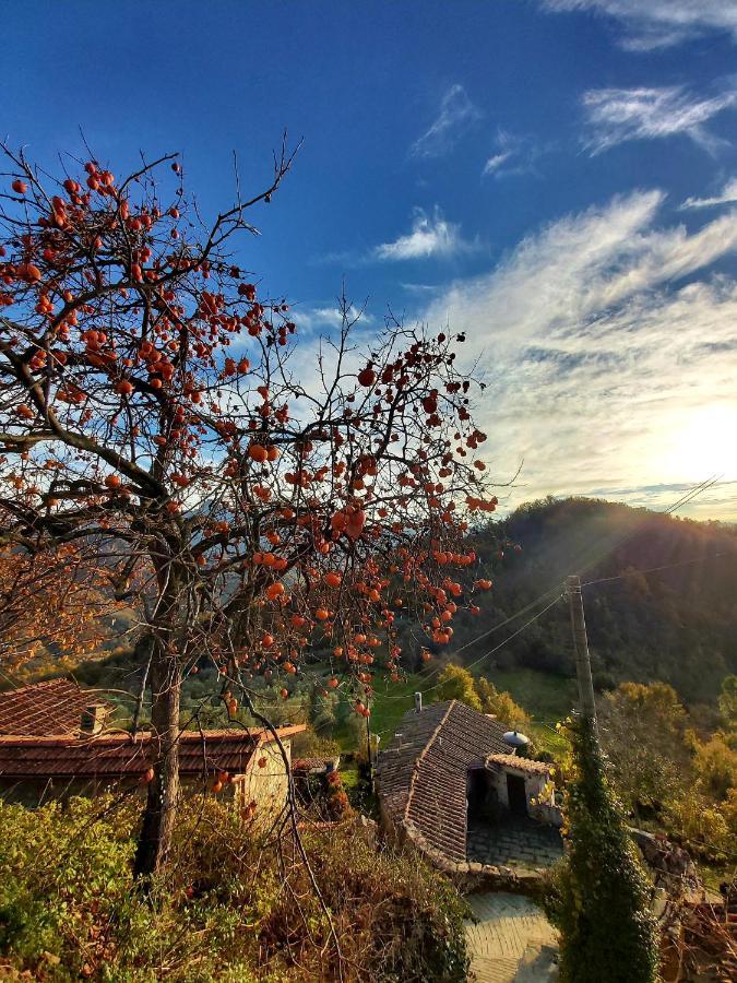 Il Convento Di Casola Casola in Lunigiana Exteriér fotografie